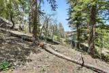 11618 Nichols Way - Photo 9
