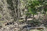 11618 Nichols Way - Photo 10