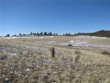 8808 County Road 53 - Photo 3