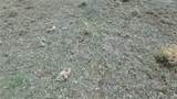  Delaware Road - Photo 11