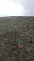  Delaware Road - Photo 12