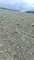  Delaware Road - Photo 13