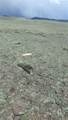  Delaware Road - Photo 14