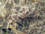 5053 Crowfoot Valley Road - Photo 32