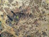 5053 Crowfoot Valley Road - Photo 37
