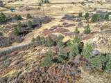 5053 Crowfoot Valley Road - Photo 7