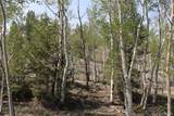 687 Corral Road - Photo 3