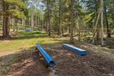 11102 Conifer Mountain Road - Photo 34
