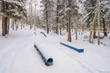 11102 Conifer Mountain Road - Photo 35