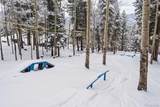 11102 Conifer Mountain Road - Photo 38