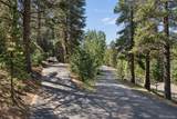 11102 Conifer Mountain Road - Photo 41