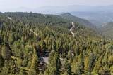 11102 Conifer Mountain Road - Photo 47