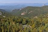 11102 Conifer Mountain Road - Photo 48
