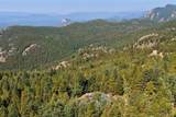 11102 Conifer Mountain Road - Photo 49