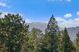 33884 Bergen View Trail - Photo 28