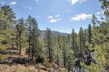 18610 Morrison Creek Circle - Photo 41