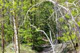 715 Lewsader Road - Photo 11