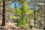 715 Lewsader Road - Photo 14
