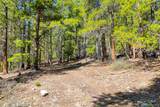 715 Lewsader Road - Photo 16