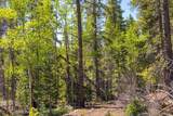 715 Lewsader Road - Photo 10