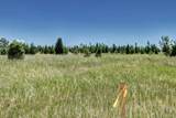 11200 State Highway 83 - Photo 8