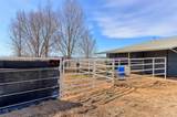 7721 County Road 31 - Photo 9