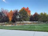 66 Blue Heron Lane - Photo 47
