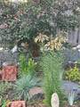7366 75th Avenue - Photo 41