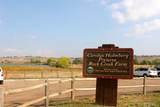 529 Whitetail Circle - Photo 44