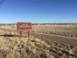 529 Whitetail Circle - Photo 45