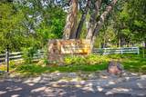 6517 Arbor Drive - Photo 46