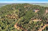 13294 Firedog Way - Photo 4