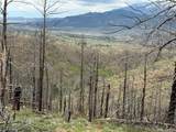 Lot 383 Soubry Place - Photo 13
