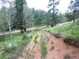 289 Methusela Road - Photo 6
