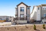 10533 Oncilla Lane - Photo 2