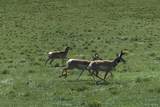 1185 County Road 734 - Photo 13