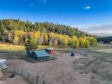 13116 Noka Trail - Photo 50