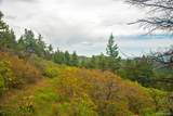 13864 Trail Circle - Photo 17
