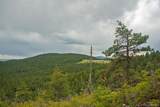 13864 Trail Circle - Photo 18
