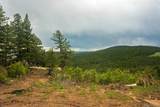 13864 Trail Circle - Photo 27