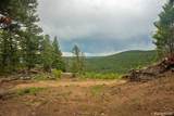 13864 Trail Circle - Photo 5