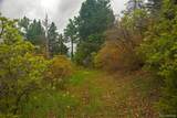 13864 Trail Circle - Photo 9