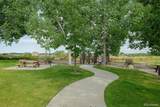 11687 Newton Street - Photo 40