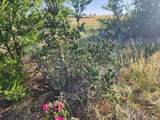 54998 County Road Q - Photo 14