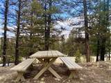 2843 Redhill Road - Photo 45