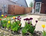 404 116th Avenue - Photo 4