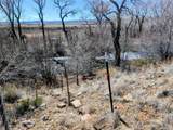 24501 County Road 6 - Photo 50