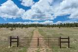 23055 County Road 43.7 - Photo 40