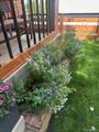427 Grant Street - Photo 24