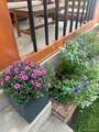 427 Grant Street - Photo 25